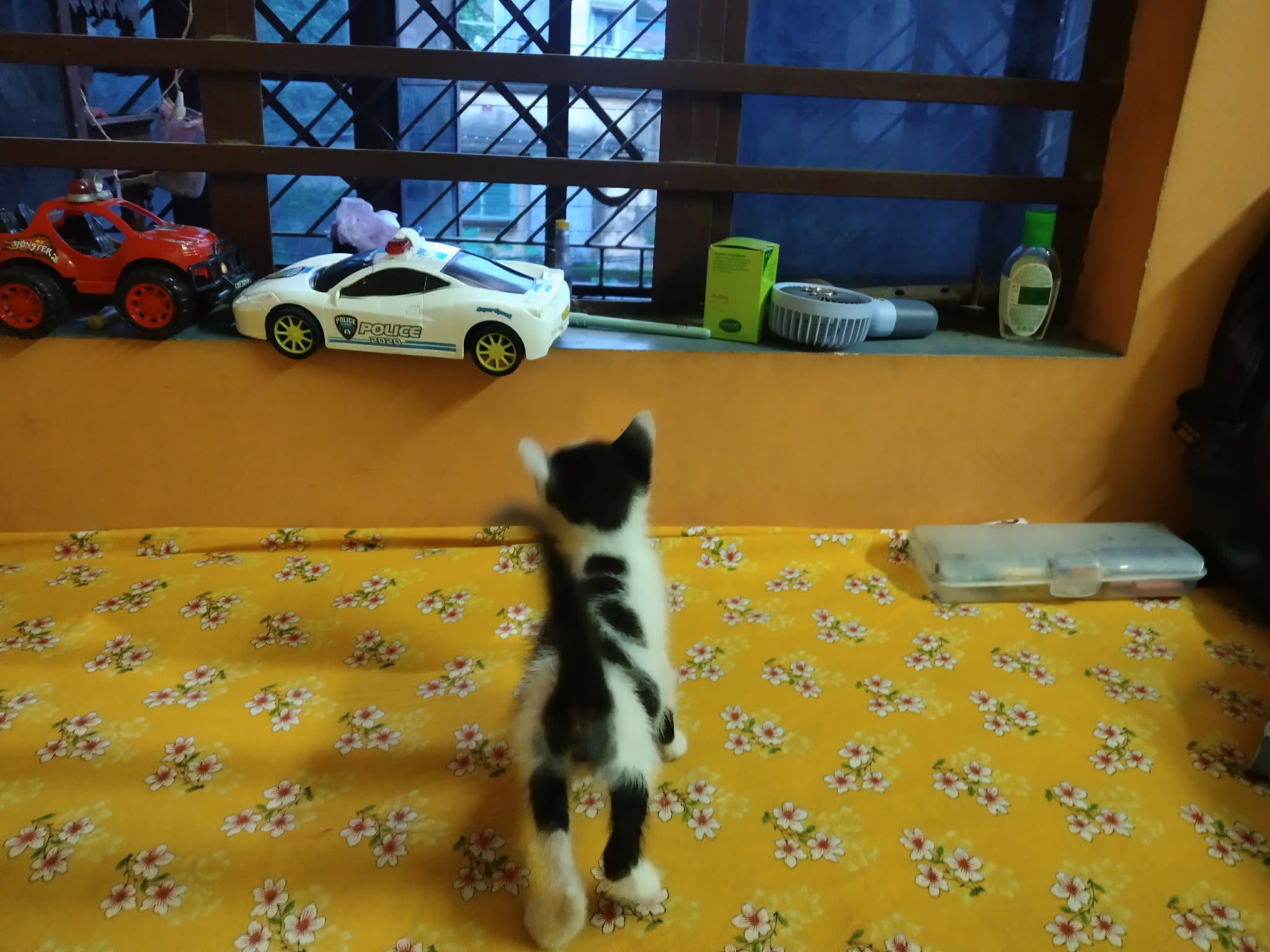Mango